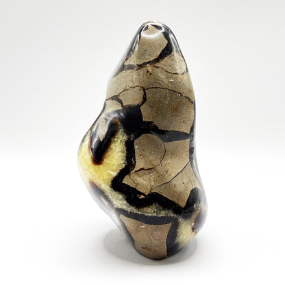 Natural Septarian Freeform Polished Crystal Fossil Stone Unique Healing Mineral, Decorative Display Piece, Energy Balancing Dragon Stone for Collectors, Meditation & Home Decor - RPS496