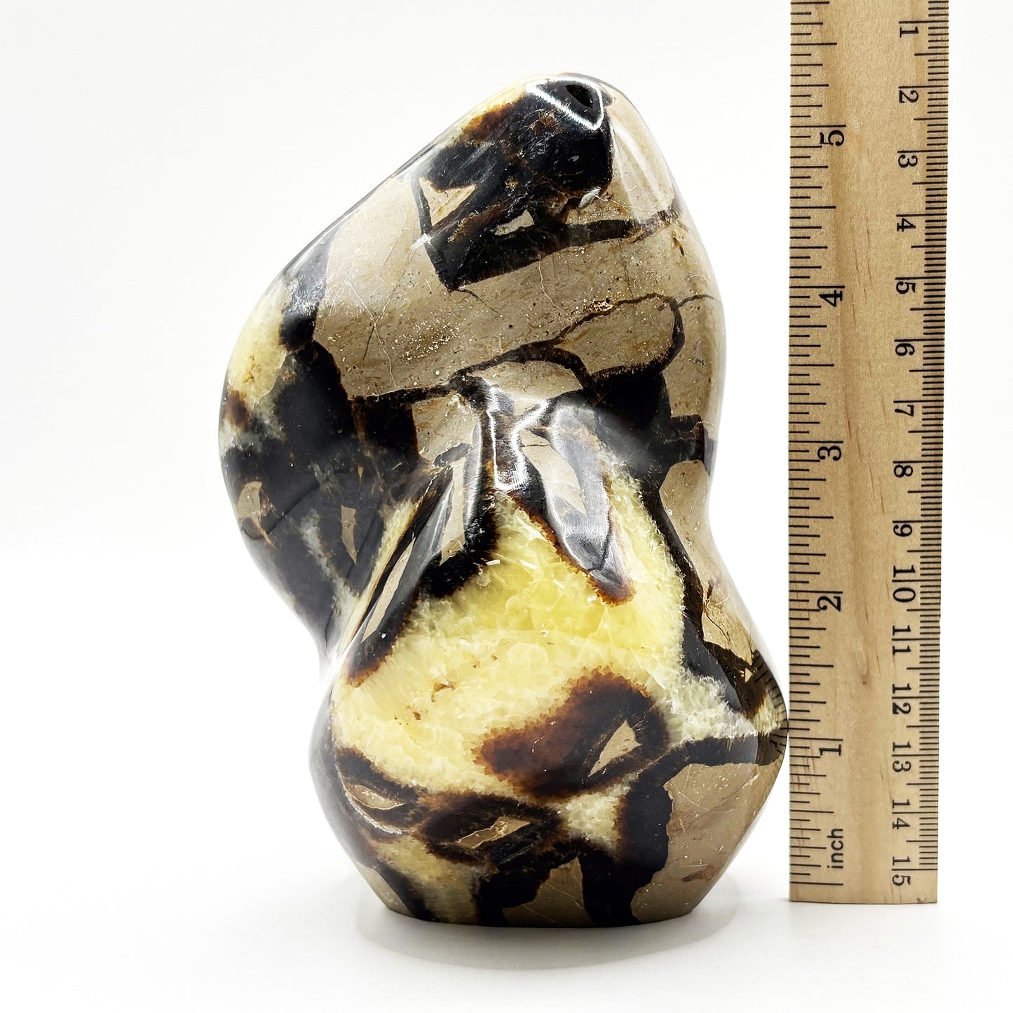 Natural Septarian Freeform Polished Crystal Fossil Stone Unique Healing Mineral, Decorative Display Piece, Energy Balancing Dragon Stone for Collectors, Meditation & Home Decor - RPS496