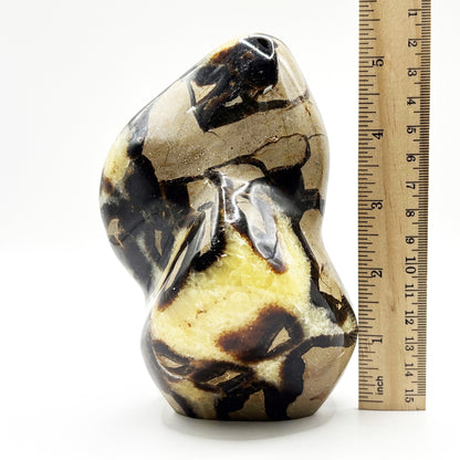 Natural Septarian Freeform Polished Crystal Fossil Stone Unique Healing Mineral, Decorative Display Piece, Energy Balancing Dragon Stone for Collectors, Meditation & Home Decor - RPS496