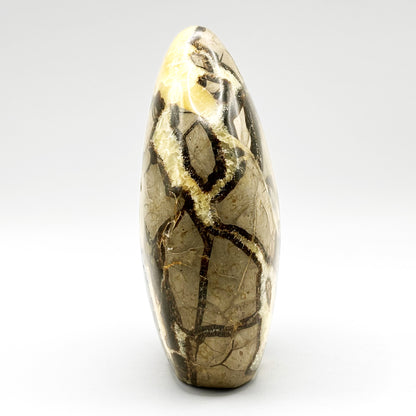 Natural Septarian Freeform Polished Crystal Fossil Stone for Healing, Meditation, Energy Balancing, Collectors, and Decorative Home Display - RPS498