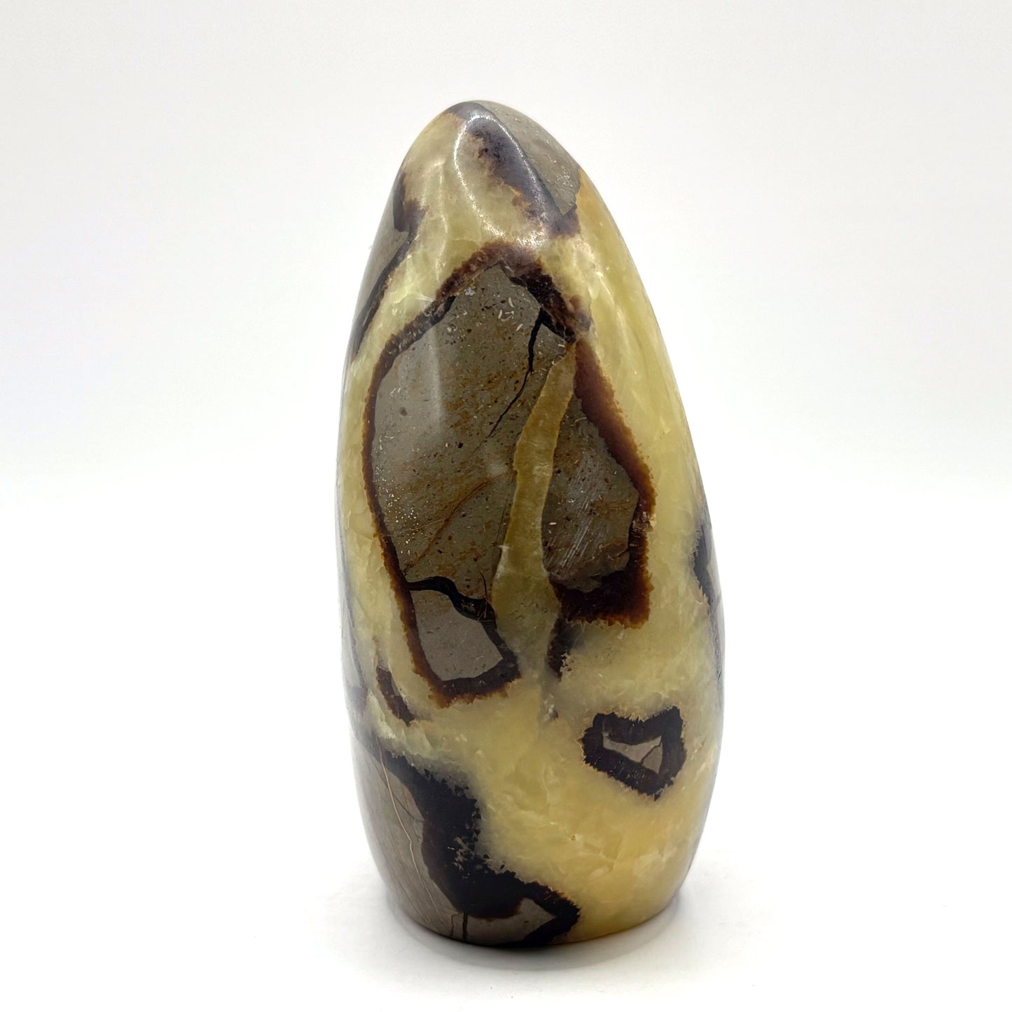 Natural Septarian Crystal Freeform - Gem Avenue