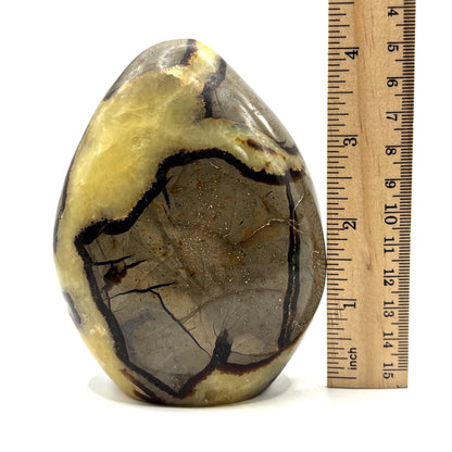 Natural Septarian Crystal Freeform - Gem Avenue