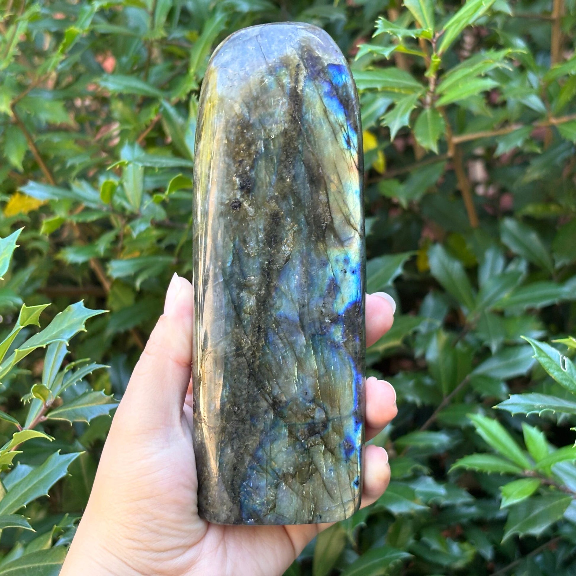 Natural Polished Labradorite Freeform Crystal - Gem Avenue Retail