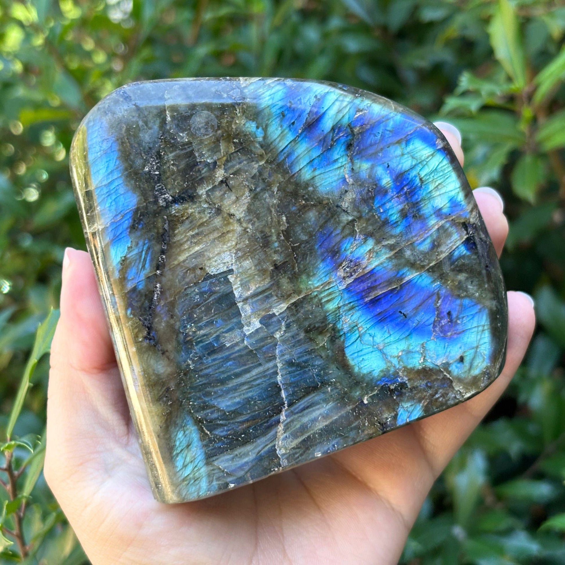 Natural Polished Labradorite Freeform Crystal - Gem Avenue Retail