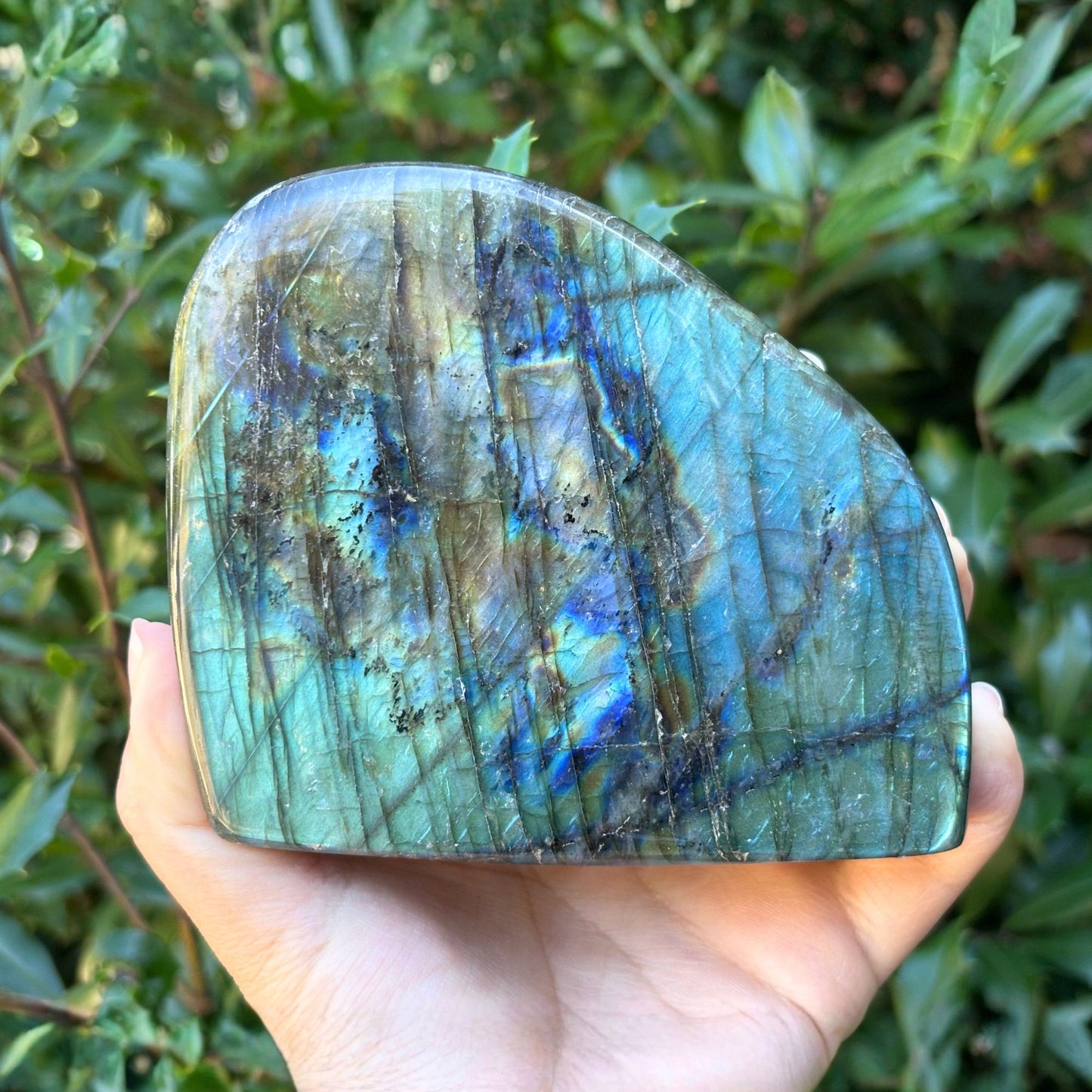 Polished Labradorite Display Stone Natural Gemstone with Stunning Blue Flash for Energy Healing, and Modern Home Decoration - RPS507