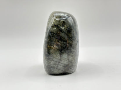 Natural Labradorite Freeform Polished Crystal with Blue & Gold Flash Healing Stone for Meditation, and Home Decor - RPS508