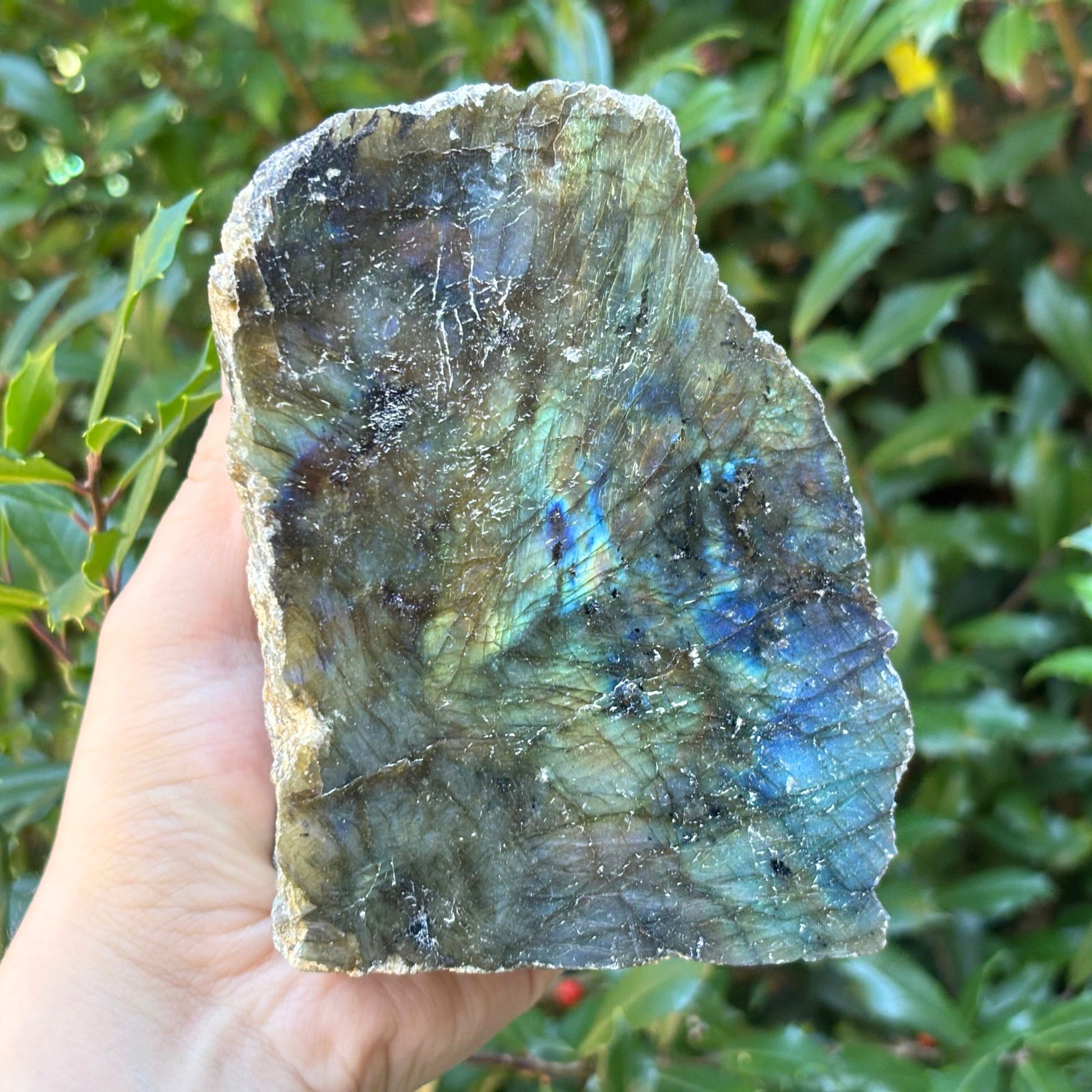 Natural Polished Labradorite Freeform Crystal - Gem Avenue Retail