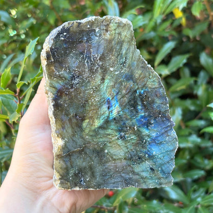 Natural Polished Labradorite Freeform Crystal - Gem Avenue Retail