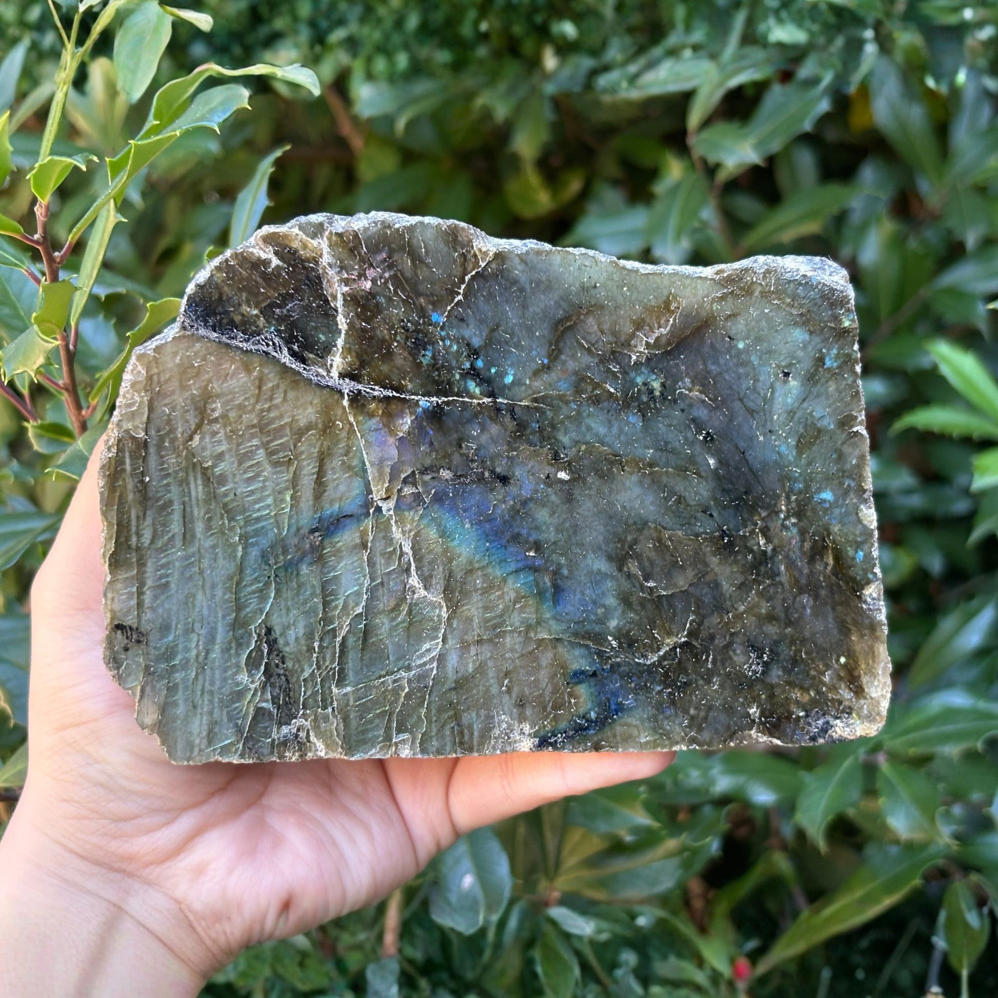 Natural Polished Labradorite Freeform Crystal - Gem Avenue Retail