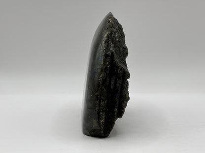 Natural Polished Labradorite Freeform Crystal with Blue & Gold Flash for Healing, Meditation, and Home Decor - RPS511