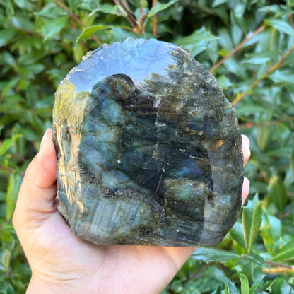Natural Polished Labradorite Freeform Crystal - Gem Avenue Retail