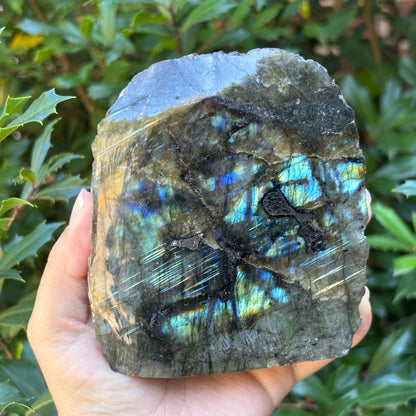 Natural Polished Labradorite Freeform - Gem Avenue Retail