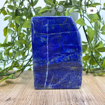 Natural Polished Lapis Lazuli Freeform Stone for Modern Home Decor and Crystal Collection - RPS513