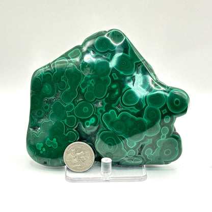 Natural Polished Malachite Freeform - Gem Avenue