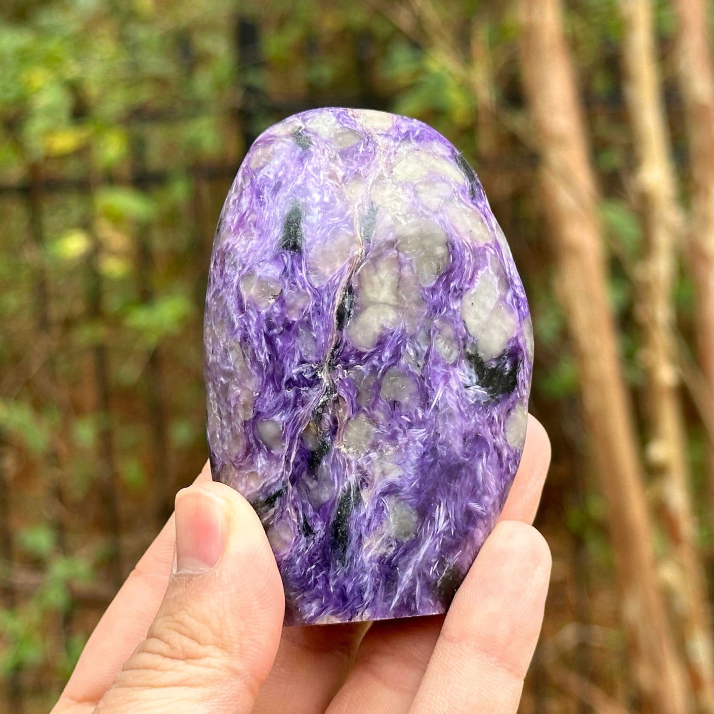 Natural Polished Purple Charoite Freeform Crystal - Gem Avenue