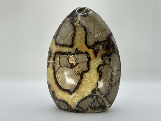 Natural Polished Septarian Crystal Freeform - Gem Avenue