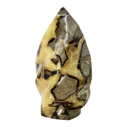 Natural Polished Septarian Crystal Freeform - Gem Avenue