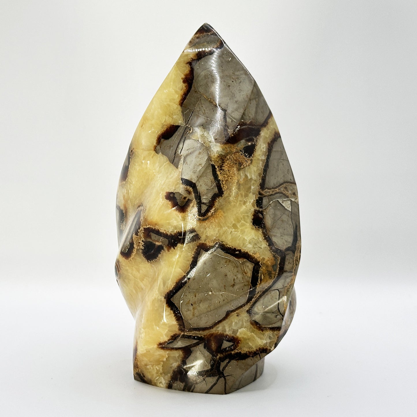 Natural Polished Septarian Crystal Freeform - Gem Avenue