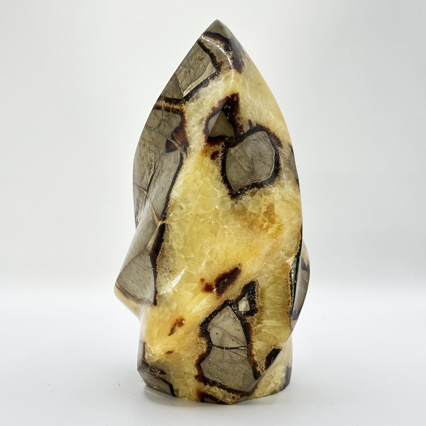 Natural Polished Septarian Crystal Freeform - Gem Avenue
