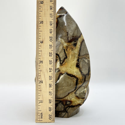 Natural Septarian Freeform Polished Crystal from Madagascar Healing Stone for Meditation & Home Decor - RPS518