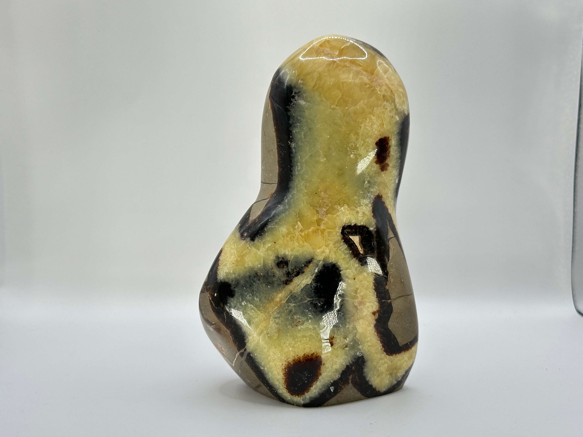 Natural Polished Septarian Crystal Freeform - Gem Avenue