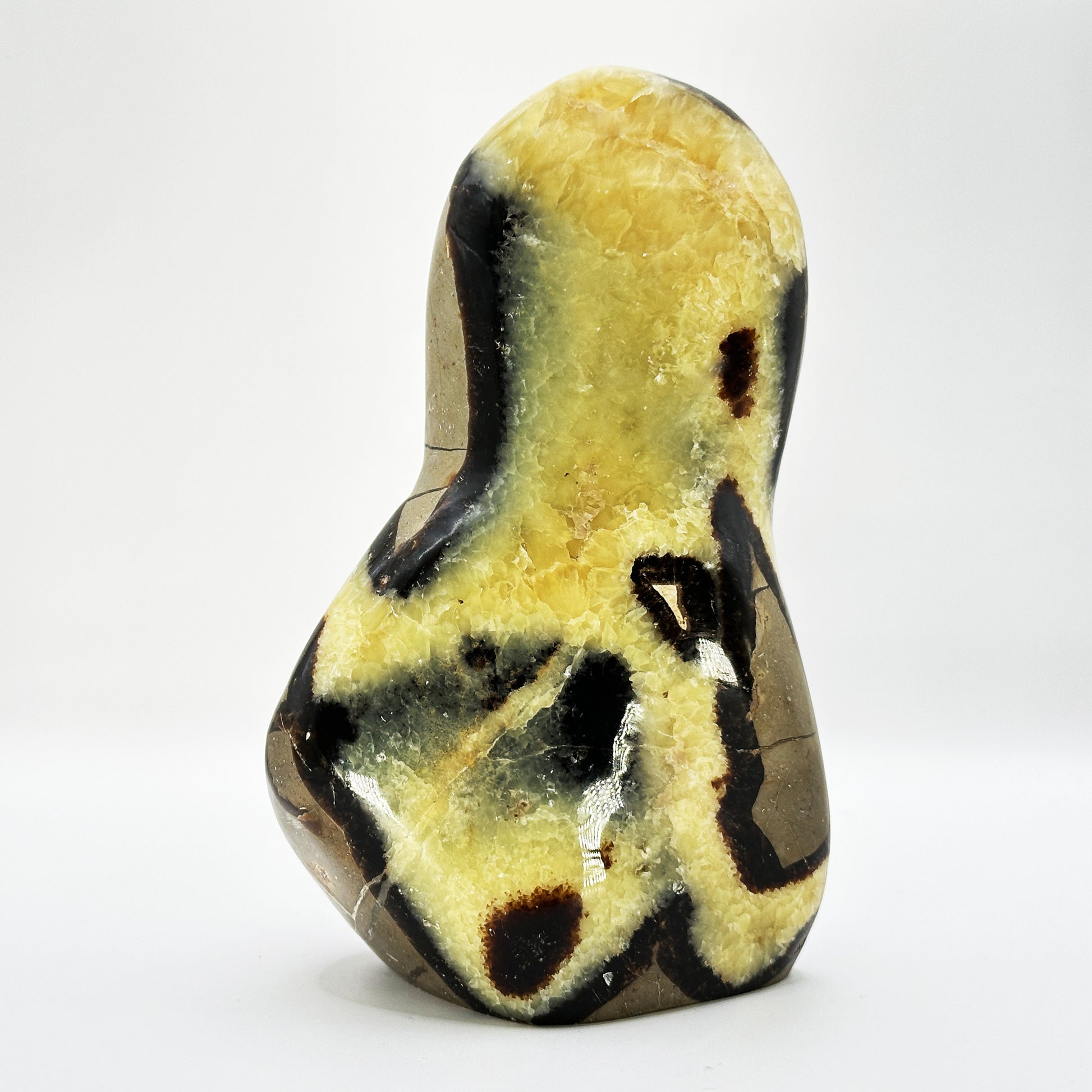 Natural Septarian Crystal Freeform - Gem Avenue Retail