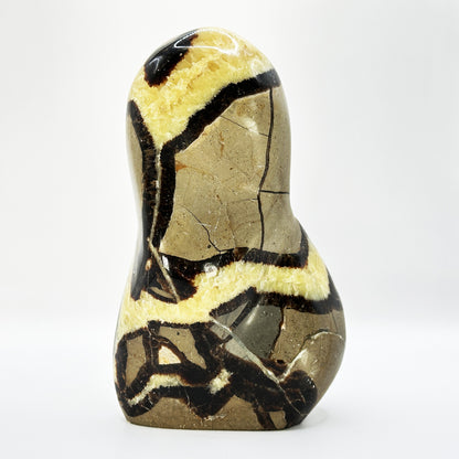 Natural Septarian Crystal Freeform - Gem Avenue Retail