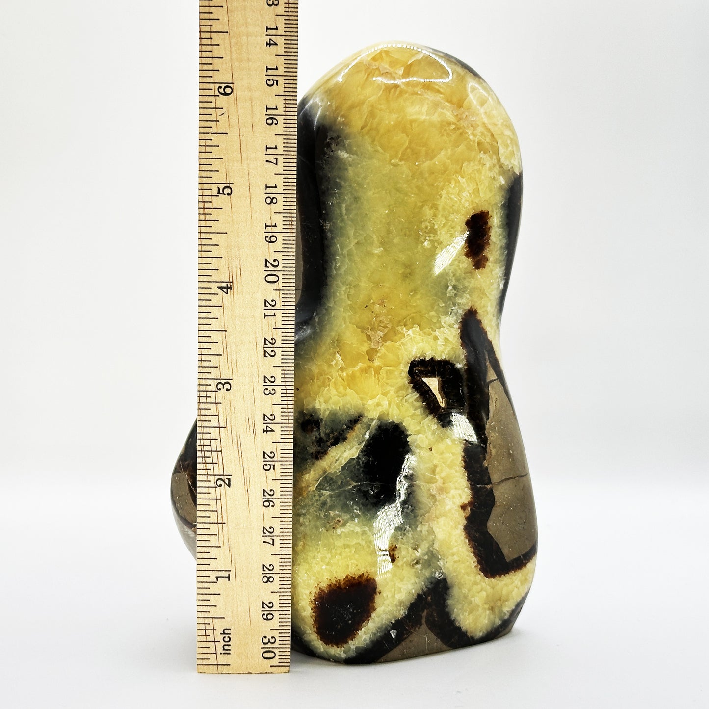 Natural Septarian Crystal Freeform - Gem Avenue Retail