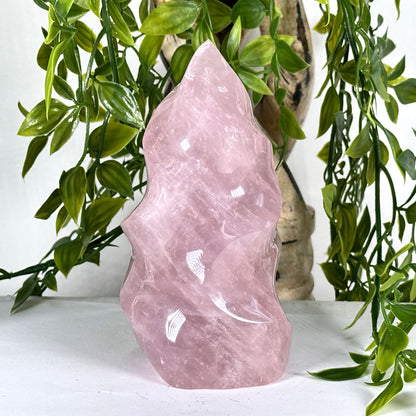 Natural Rose Quartz Flame Polished Crystal Love & Healing Stone for Meditation, Energy Work & Home Decor - RPS520