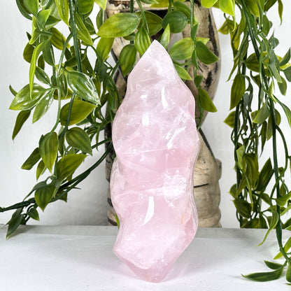 Natural Rose Quartz Flame Polished Crystal Healing Love Stone for Meditation, Energy Work & Home Decor - RPS522