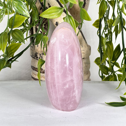 Natural Rose Quartz Polished Freeform Crystal Healing Stone for Love, Meditation & Home Decor - RPS523