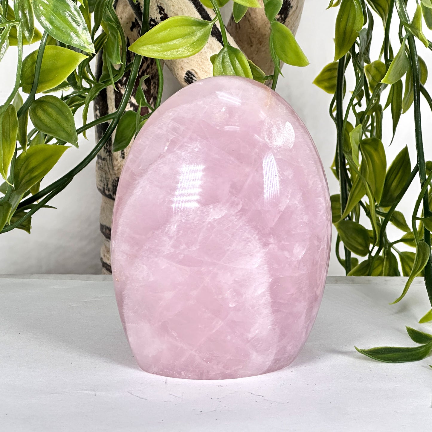 Natural Rose Quartz Polished Freeform Crystal Healing Stone for Love, Meditation & Home Decor - RPS523