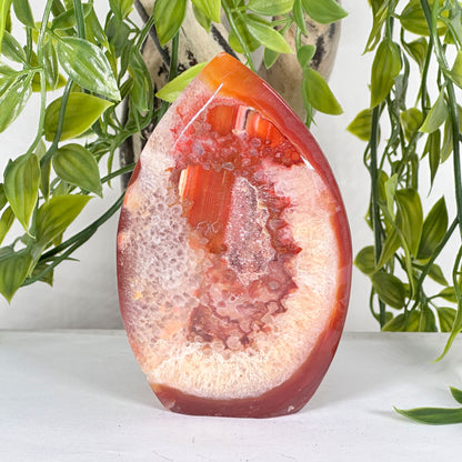 Natural Carnelian Polished Freeform Crystal with Druzy Pocket Healing Stone for Energy, Meditation & Home Decor - RPS525