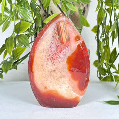 Natural Carnelian Polished Freeform Crystal with Druzy Pocket Healing Stone for Energy, Meditation & Home Decor - RPS525