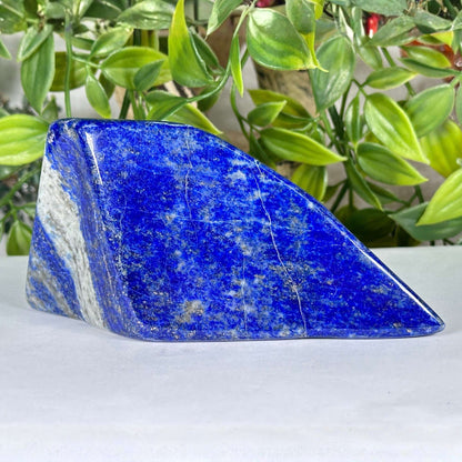 Natural Lapis Lazuli Freeform - Gem Avenue