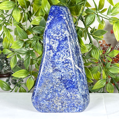 Natural Lapis Lazuli Freeform Polished Deep Blue Standing Crystal Stone - RPS535