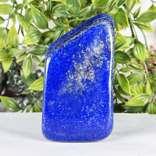 Natural Lapis Lazuli Polished Freeform Stone - Gem Avenue Retail