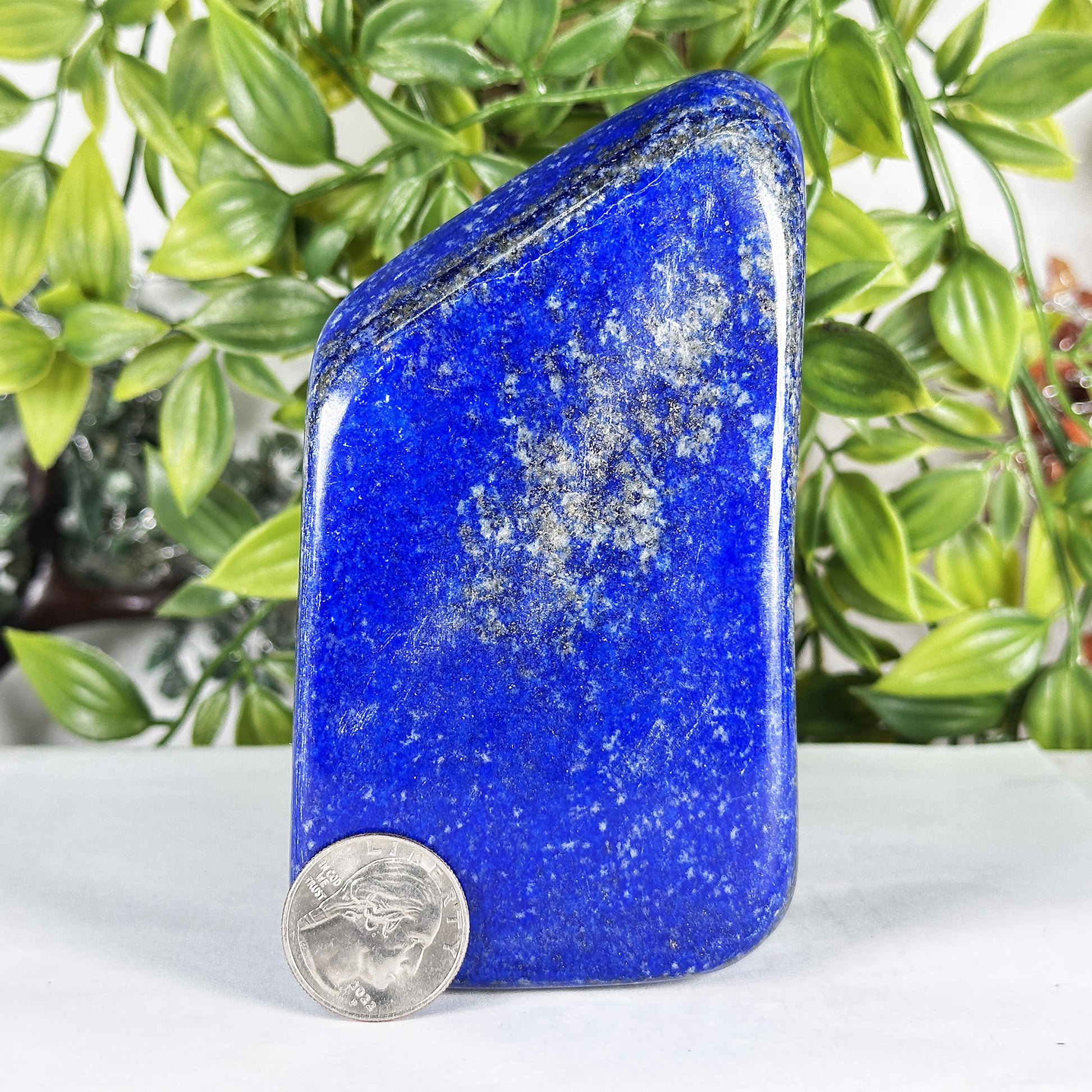 Natural Lapis Lazuli Polished Freeform Stone - Gem Avenue Retail