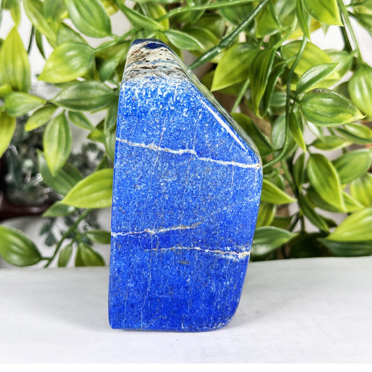 Natural Lapis Lazuli Freeform  - Gem Avenue Retail