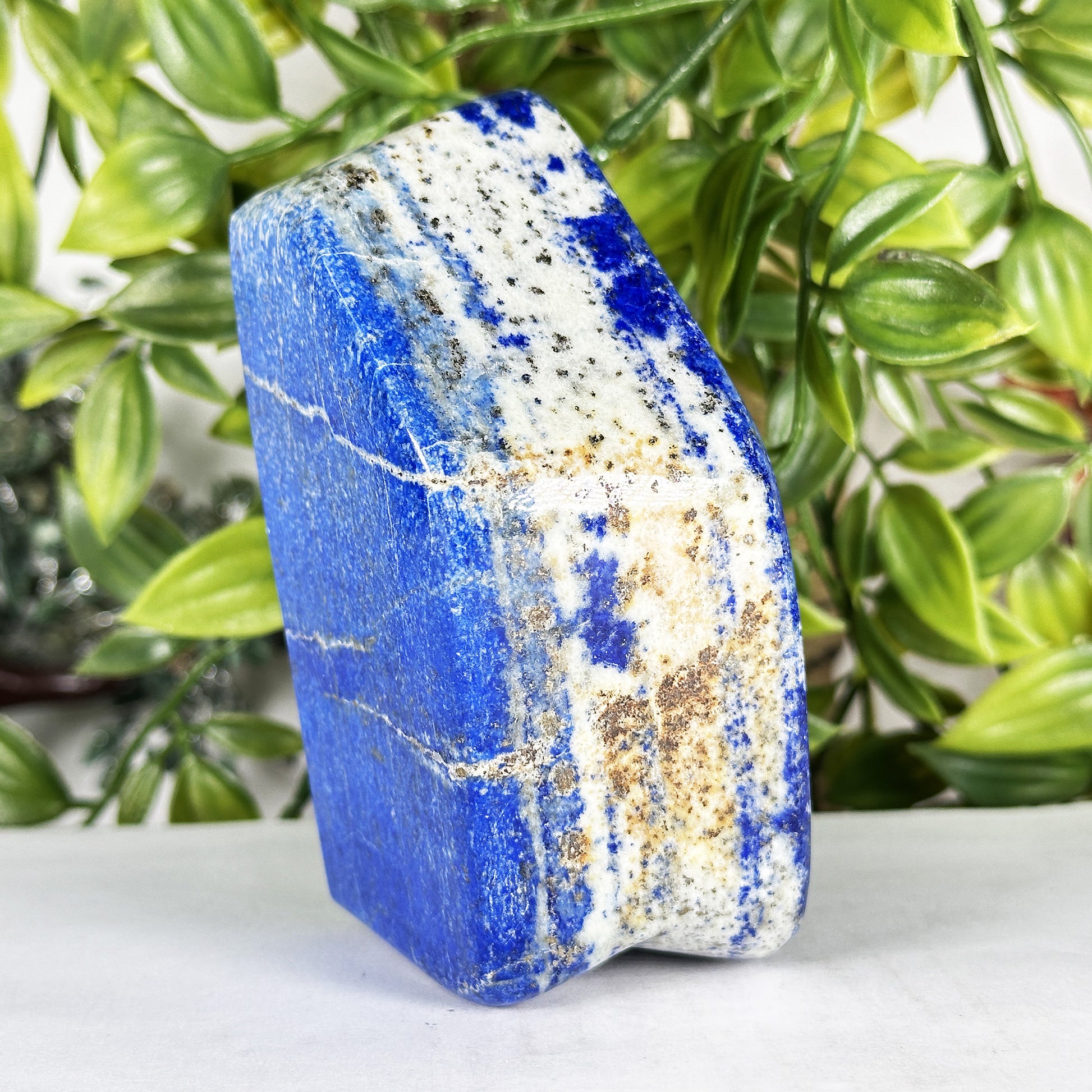 Natural Lapis Lazuli Freeform  - Gem Avenue Retail