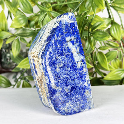 Natural Lapis Lazuli Freeform  - Gem Avenue Retail