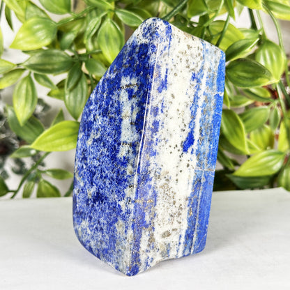 Natural Lapis Lazuli Freeform  - Gem Avenue Retail