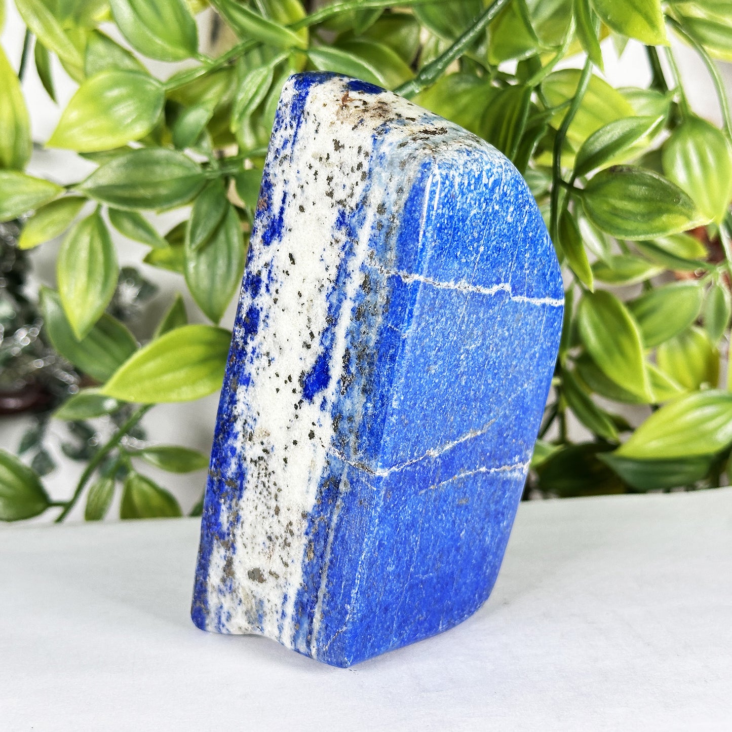 Natural Lapis Lazuli Freeform  - Gem Avenue Retail