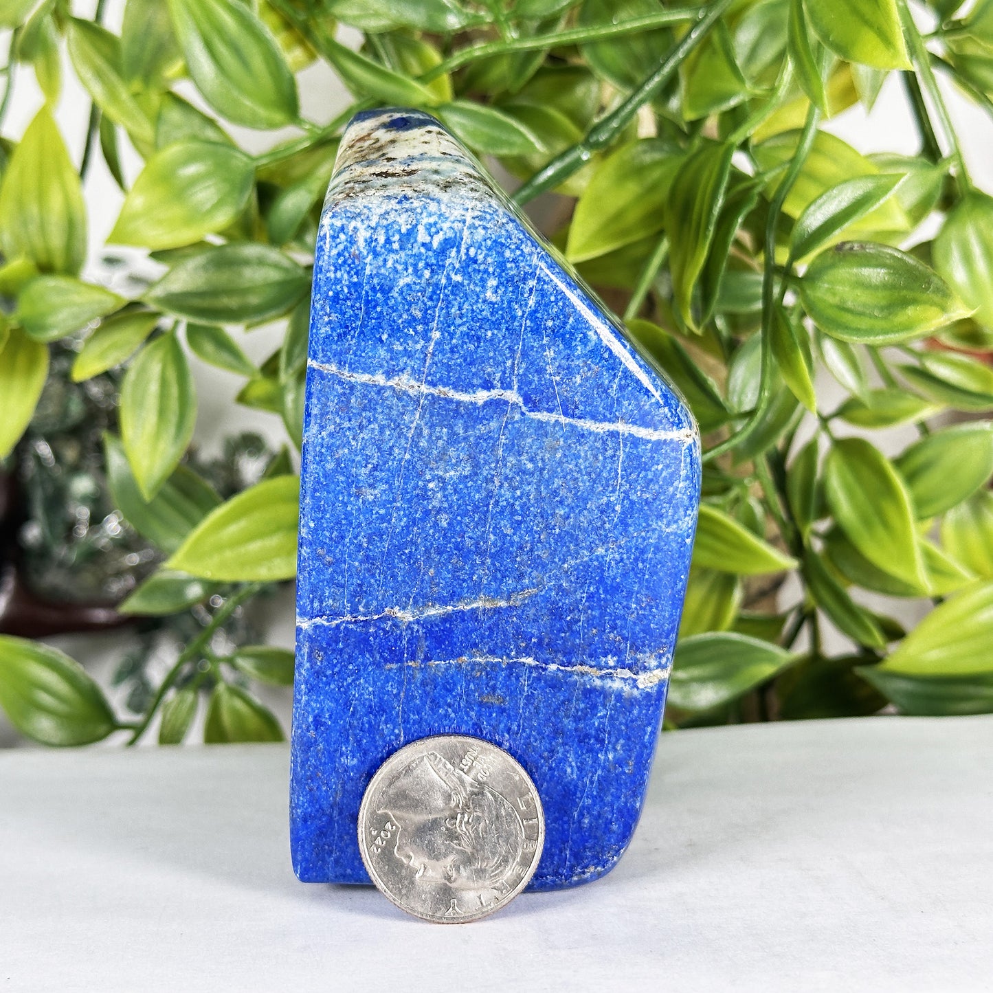 Natural Lapis Lazuli Freeform  - Gem Avenue Retail