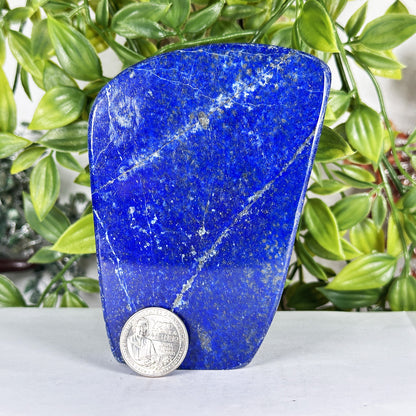 Lapis Lazuli Freeform - Gem Avenue