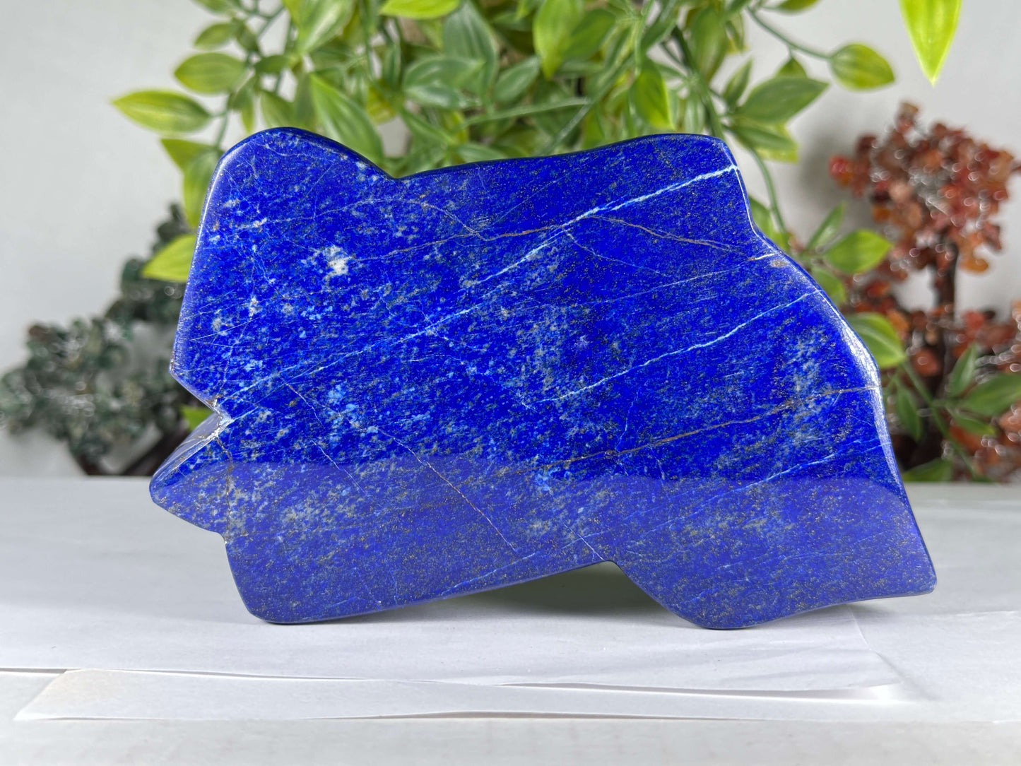 Natural Lapis Lazuli Polished Freeform Stone Deep Blue Crystal Home Decor - RPS541