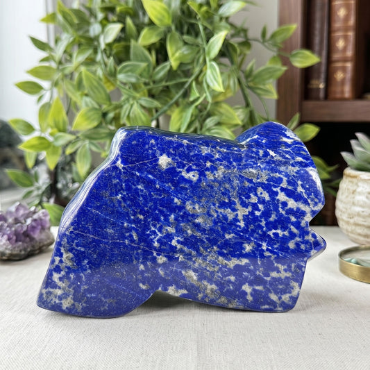 Natural Lapis Lazuli Polished Freeform Stone Deep Blue Crystal Home Decor - RPS541