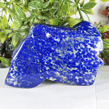 Natural Lapis Lazuli Polished Freeform Stone Deep Blue Crystal Home Decor - RPS541