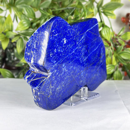 Natural Lapis Lazuli Polished Freeform Stone Deep Blue Crystal Home Decor - RPS541