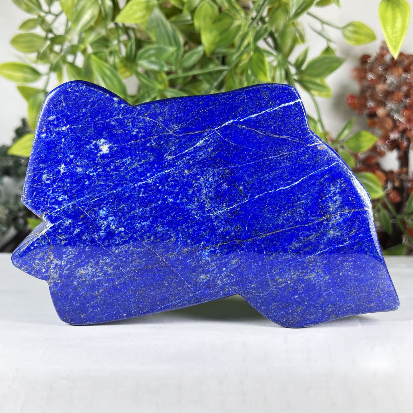 Natural Lapis Lazuli Polished Freeform Stone Deep Blue Crystal Home Decor - RPS541